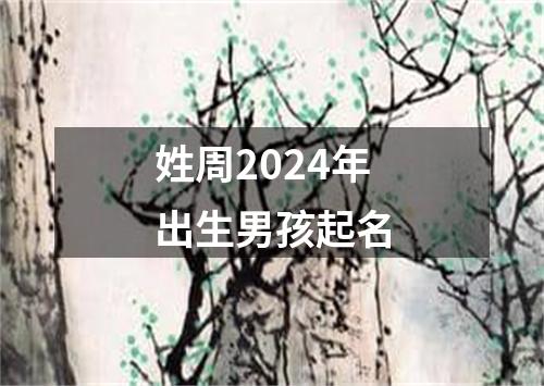 姓周2024年出生男孩起名