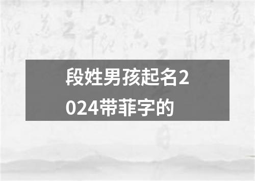 段姓男孩起名2024带菲字的