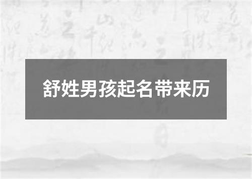 舒姓男孩起名带来历