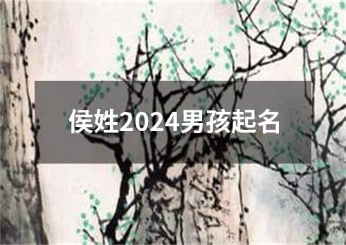 侯姓2024男孩起名