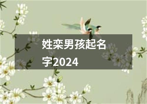 姓栾男孩起名字2024