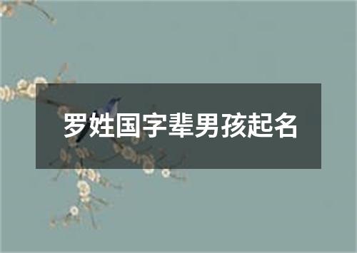 罗姓国字辈男孩起名