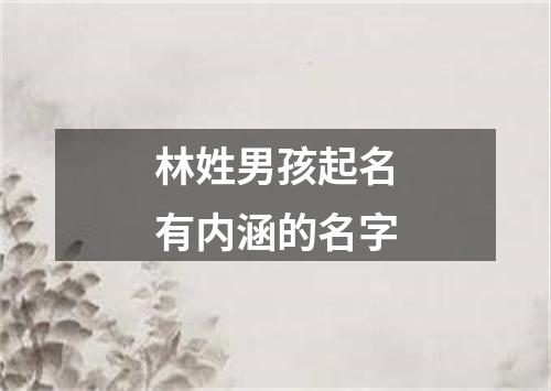 林姓男孩起名有内涵的名字