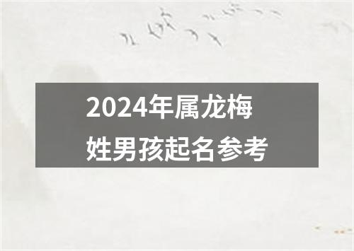 2024年属龙梅姓男孩起名参考