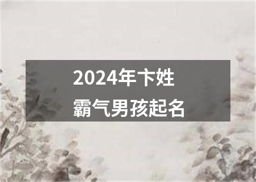 2024年卞姓霸气男孩起名