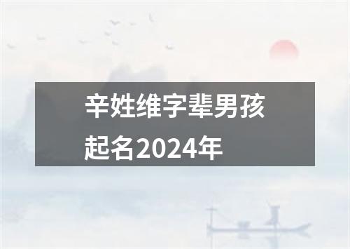 辛姓维字辈男孩起名2024年