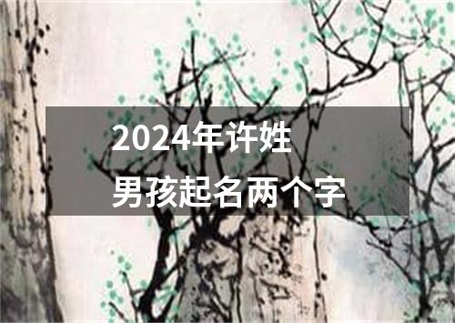 2024年许姓男孩起名两个字