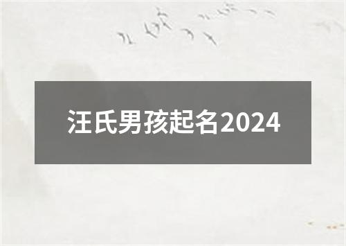 汪氏男孩起名2024