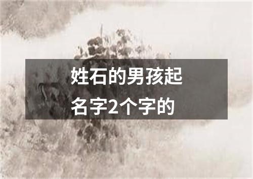 姓石的男孩起名字2个字的