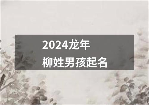 2024龙年柳姓男孩起名