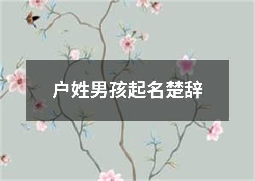 户姓男孩起名楚辞