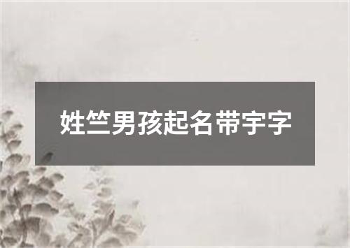 姓竺男孩起名带宇字