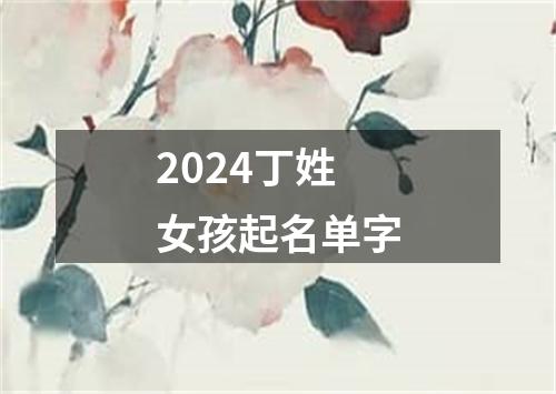 2024丁姓女孩起名单字