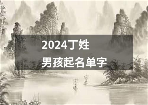 2024丁姓男孩起名单字