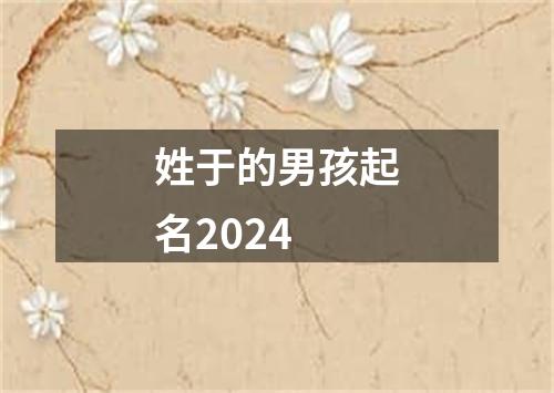 姓于的男孩起名2024