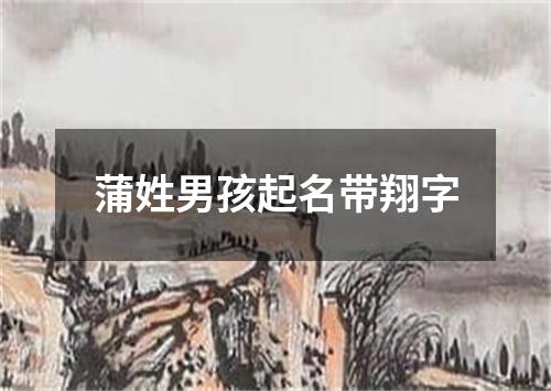 蒲姓男孩起名带翔字