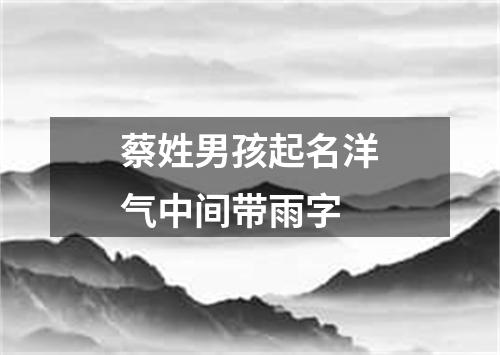 蔡姓男孩起名洋气中间带雨字