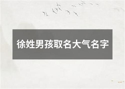 徐姓男孩取名大气名字