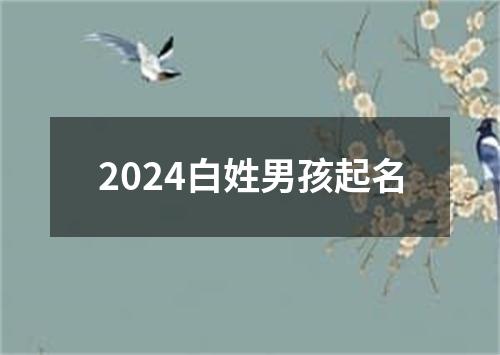 2024白姓男孩起名