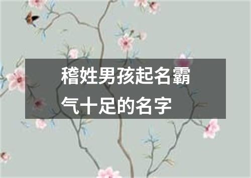 稽姓男孩起名霸气十足的名字