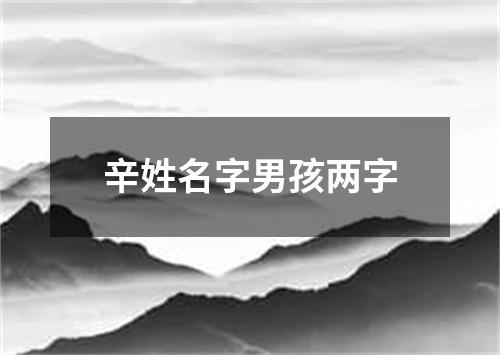 辛姓名字男孩两字