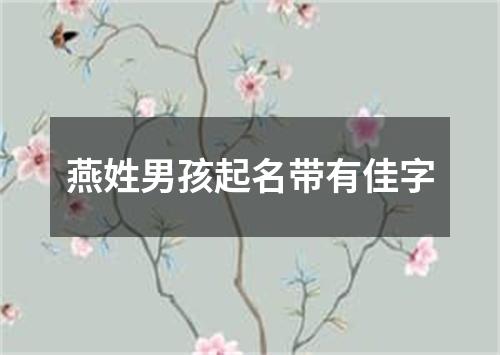 燕姓男孩起名带有佳字