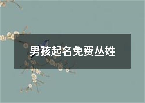 男孩起名免费丛姓