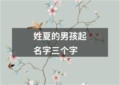 姓夏的男孩起名字三个字