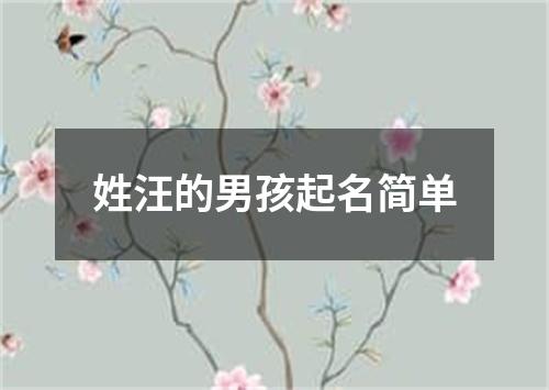 姓汪的男孩起名简单