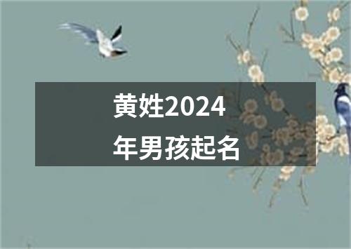 黄姓2024年男孩起名