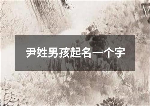 尹姓男孩起名一个字