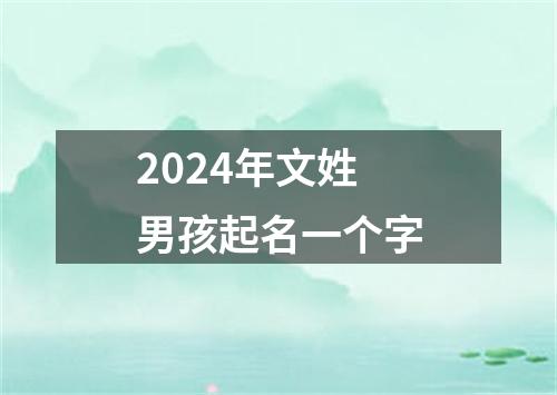 2024年文姓男孩起名一个字