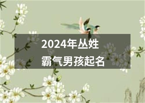 2024年丛姓霸气男孩起名