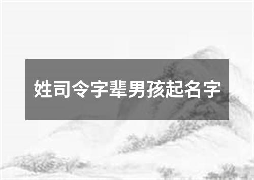 姓司令字辈男孩起名字