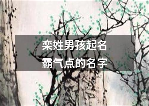 栾姓男孩起名霸气点的名字