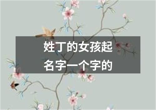 姓丁的女孩起名字一个字的