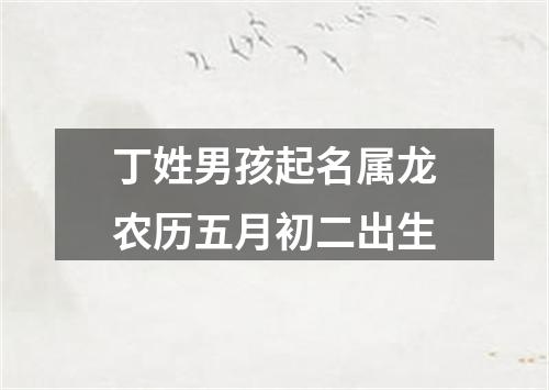 丁姓男孩起名属龙农历五月初二出生