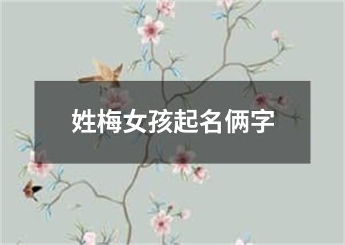 姓梅女孩起名俩字