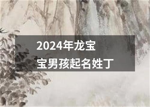 2024年龙宝宝男孩起名姓丁