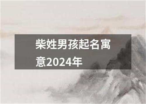 柴姓男孩起名寓意2024年