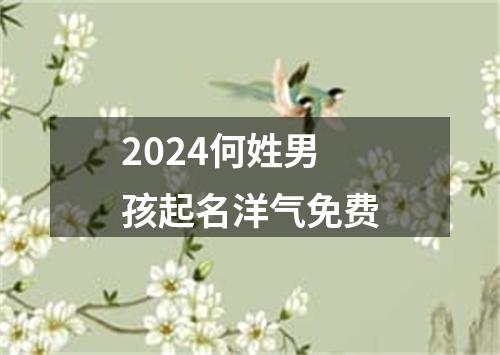 2024何姓男孩起名洋气免费