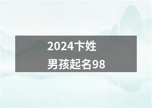 2024卞姓男孩起名98