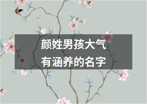 颜姓男孩大气有涵养的名字