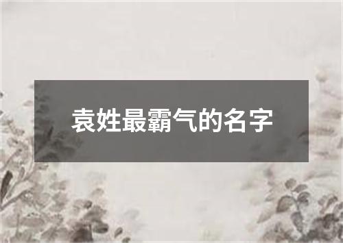 袁姓最霸气的名字