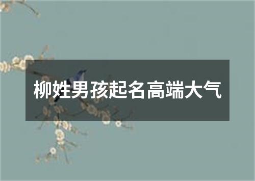 柳姓男孩起名高端大气