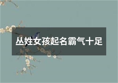 丛姓女孩起名霸气十足