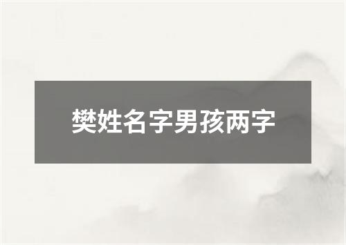 樊姓名字男孩两字