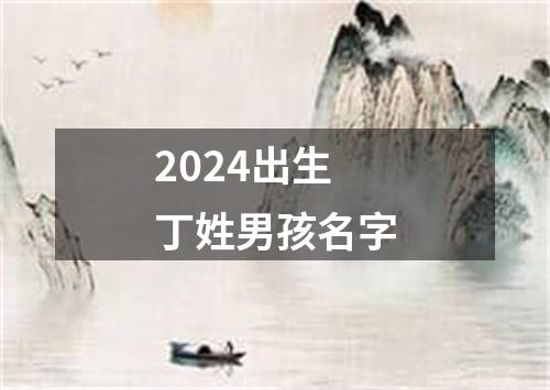 2024出生丁姓男孩名字