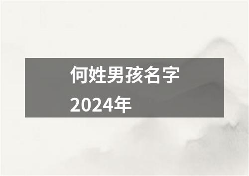 何姓男孩名字2024年