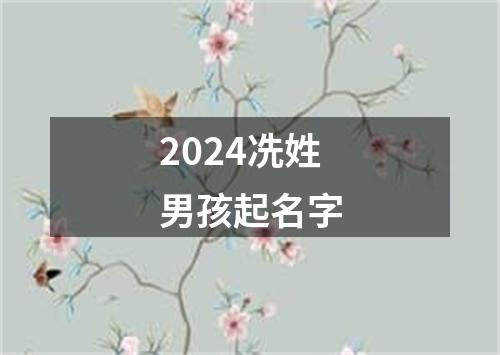 2024冼姓男孩起名字